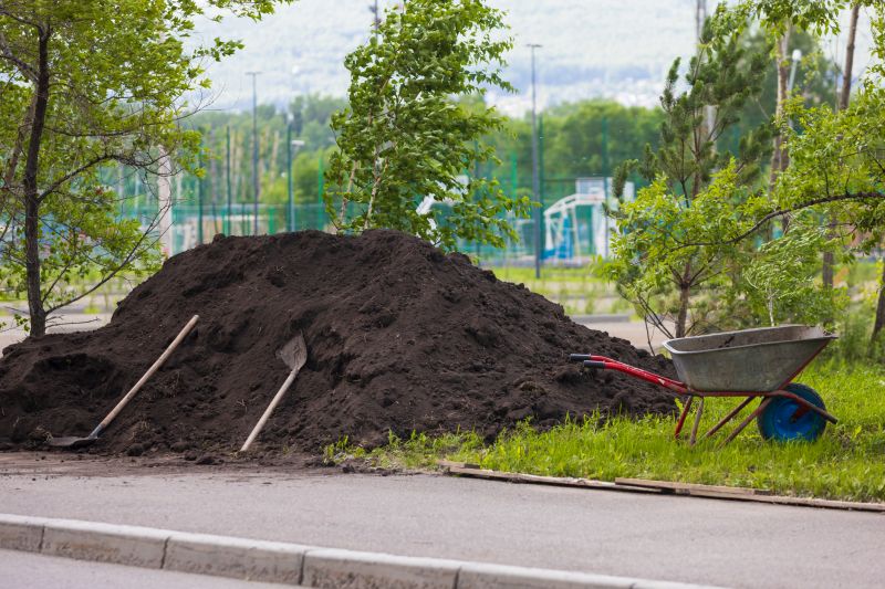 Tools You Actually Need